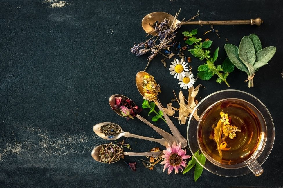 These plants are good for gas and bloating in the intestines!