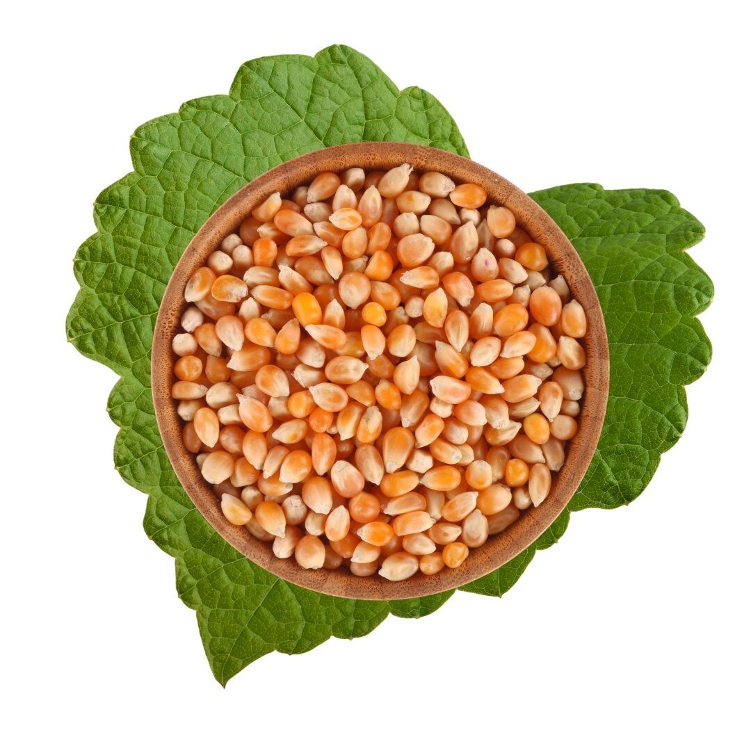 Popcorn Kernels 500 g