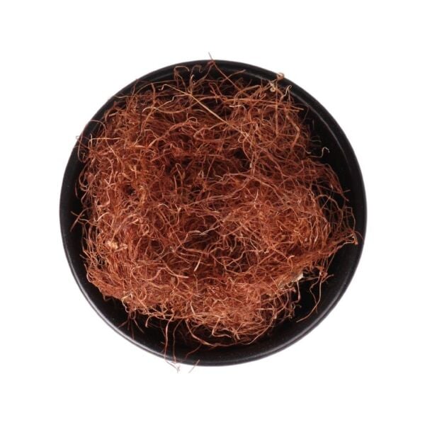 Mısır Püskülü 100 gr