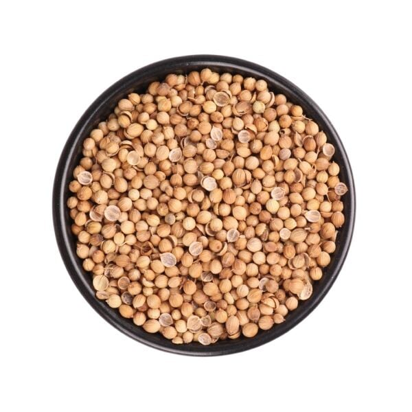 Coriander Grain